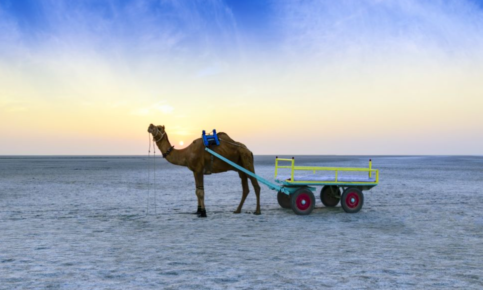 Photo of Rann of Kutch, Gujarat by Divyangna (Nomadic_Missy)