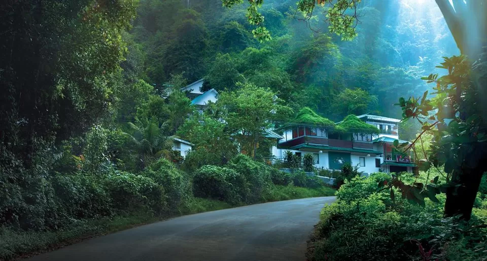 Photo of Bella Vista Resort, Munnar, Kerala, India by Divyangna (Nomadic_Missy)