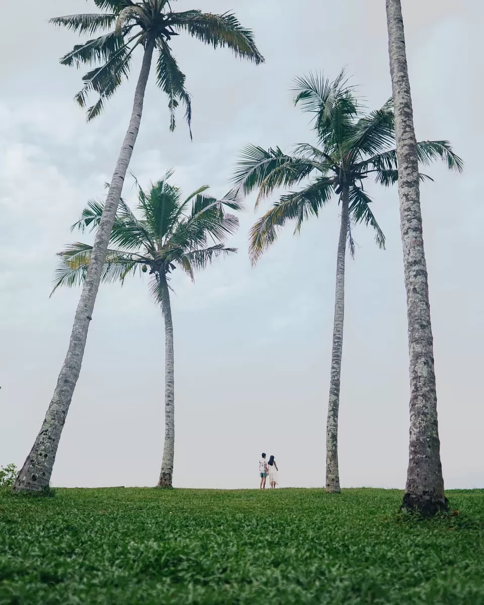 Photo of Surprise Your Partner With A Stay At this Gorgeous Sea-Facing Airbnb by Divyangna (Nomadic_Missy)