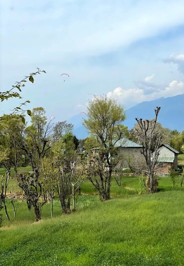 Photo of Swapped My Paraglider for a Cycle in Bir and It Felt Unreal! 30kms of Bliss in the Himalayas by Divyangna (Nomadic_Missy)