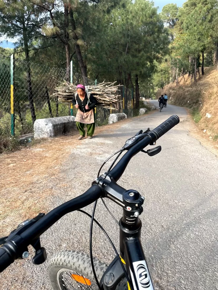 Photo of Swapped My Paraglider for a Cycle in Bir and It Felt Unreal! 30kms of Bliss in the Himalayas by Divyangna (Nomadic_Missy)