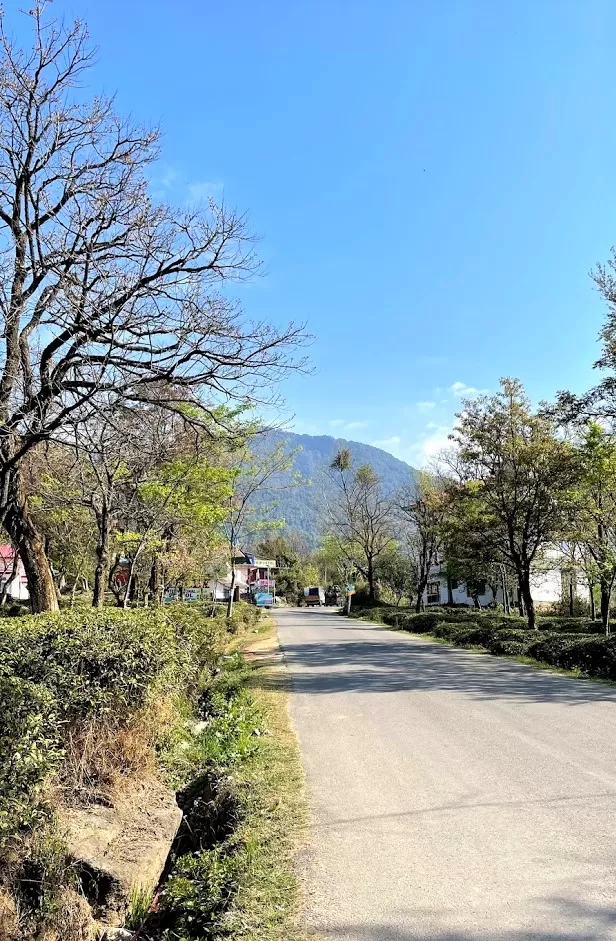 Photo of Bir Road, Chaugan, Himachal Pradesh, India by Divyangna (Nomadic_Missy)
