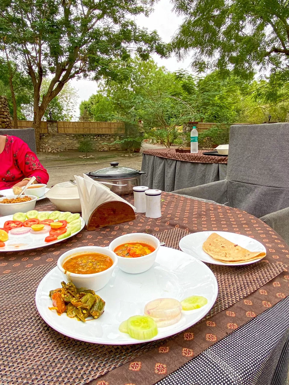 Photo of This Father-Son Duo Turned Their Farm in to Green Homestay in Rajasthan and the Results Are Fabulous by Divyangna (Nomadic_Missy)