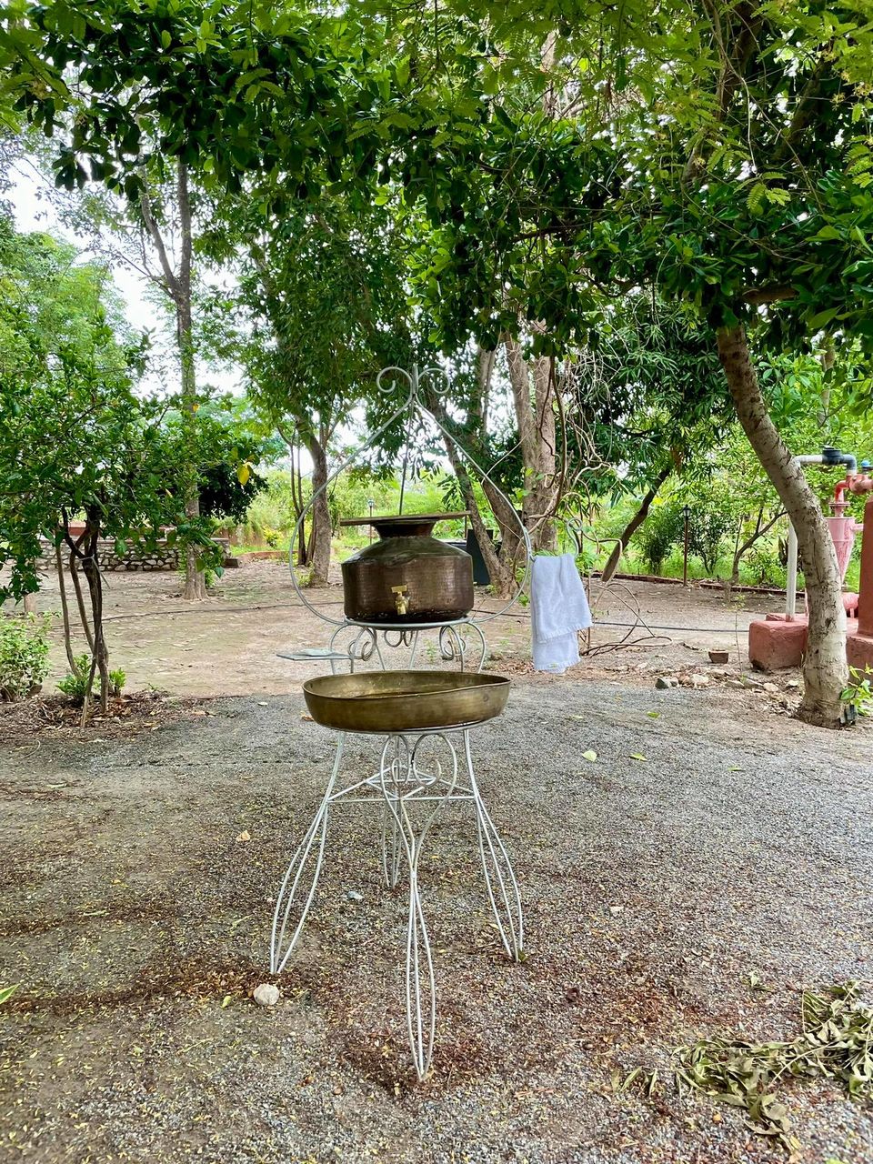 Photo of This Father-Son Duo Turned Their Farm in to Green Homestay in Rajasthan and the Results Are Fabulous by Divyangna (Nomadic_Missy)