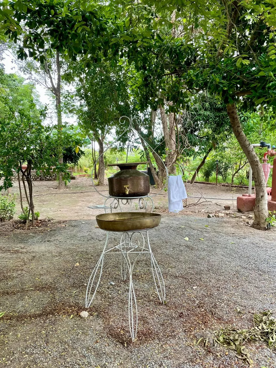 Photo of This Father-Son Duo Turned Their Farm in to Green Homestay in Rajasthan and the Results Are Fabulous by Divyangna (Nomadic_Missy)
