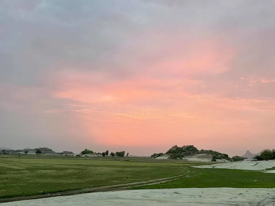 Photo of This Father-Son Duo Turned Their Farm in to Green Homestay in Rajasthan and the Results Are Fabulous by Divyangna (Nomadic_Missy)