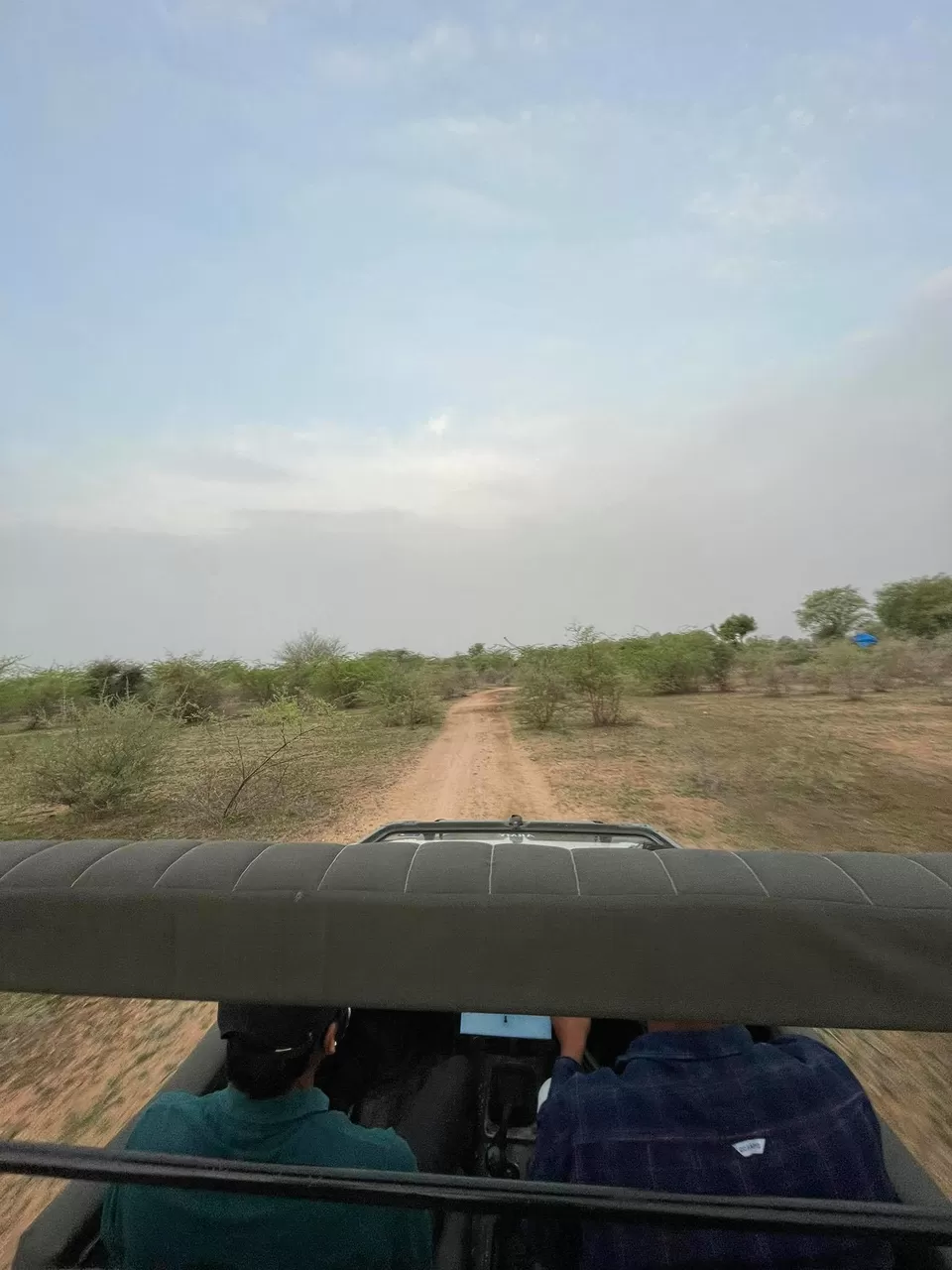Photo of This Father-Son Duo Turned Their Farm in to Green Homestay in Rajasthan and the Results Are Fabulous by Divyangna (Nomadic_Missy)