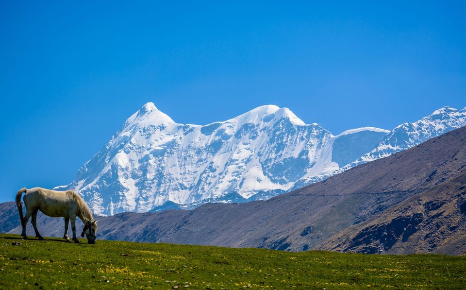 Photo of Hidden Bugyals in Uttarakhand Where You Can Live the Mountain Life You’ve Always Wanted To 1/3 by Divyangna (Nomadic_Missy)