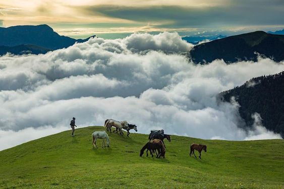 Photo of Hidden Bugyals in Uttarakhand Where You Can Live the Mountain Life You’ve Always Wanted To 2/3 by Divyangna (Nomadic_Missy)