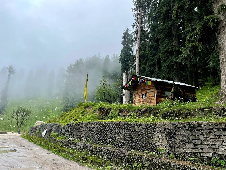 Photo of Sethan, Himachal Pradesh, India by Divyangna (Nomadic_Missy)