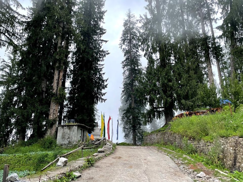 Photo of This off-Beat Village in Himachal Is Just 14 Families Big and Is Surely a Hidden Paradise! by Divyangna (Nomadic_Missy)