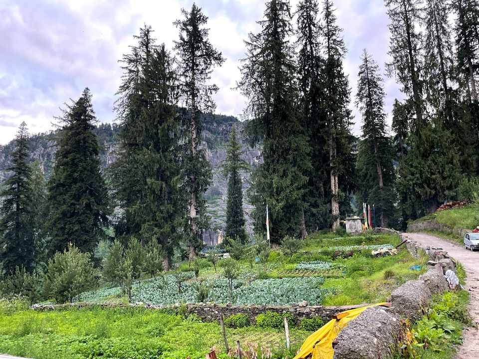 Photo of This off-Beat Village in Himachal Is Just 14 Families Big and Is Surely a Hidden Paradise! by Divyangna (Nomadic_Missy)