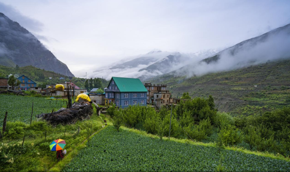 Photo of Skip Hotels and Stay at These Authentic Homestays in Lahaul Valley to Experience Local Touch 4/9 by Divyangna (Nomadic_Missy)