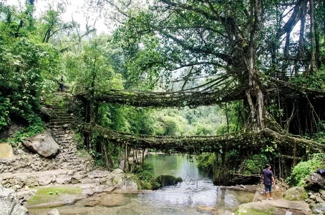 Photo of Cherrapunjee, Cherrapunjee Holiday Resort Road,Latikynsew Village, Sohsarat, Meghalaya 793112, India by Richa Mehrotra
