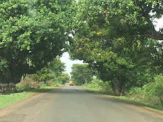 Photo of Need a break from your stressful routine? Head to Ananthagiri Hills: Weekend getaway from Hyderabad by Sutapa