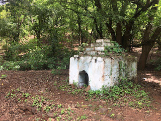 Photo of Anantagiri Hills, Ranga Reddy, Telangana, India by Sutapa