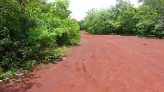 Photo of Need a break from your stressful routine? Head to Ananthagiri Hills: Weekend getaway from Hyderabad by Sutapa