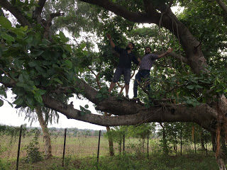 Photo of Need a break from your stressful routine? Head to Ananthagiri Hills: Weekend getaway from Hyderabad by Sutapa