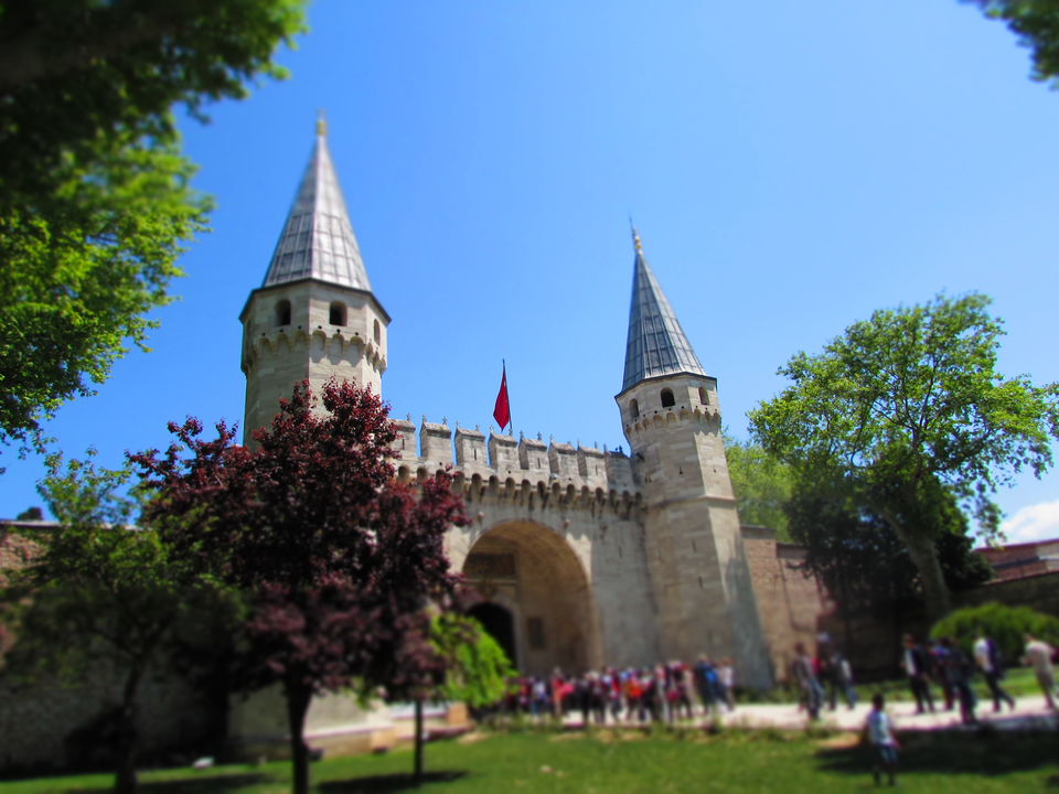 Photo of Amazing Turkey 5/17 by roamonurown
