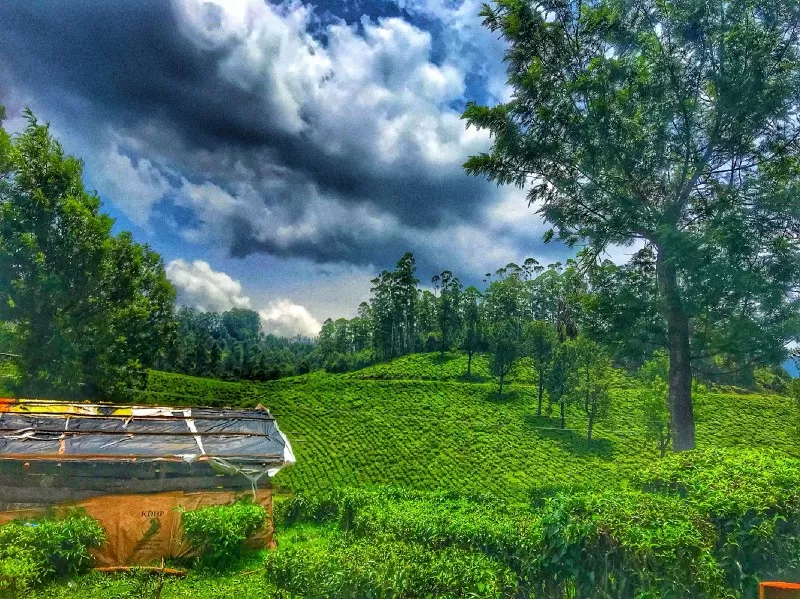Photo of Devikulam, Kerala, India by Neha Kumari
