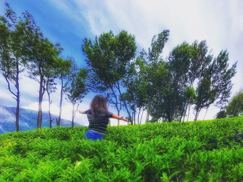 Photo of Idukki, Kerala, India by Neha Kumari