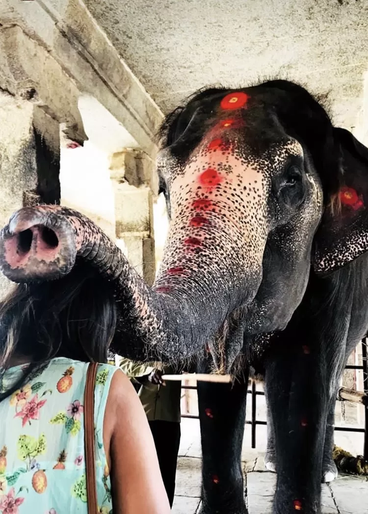 Photo of Sri Virupaksha Temple, Hampi, Karnataka, India by Neha Kumari