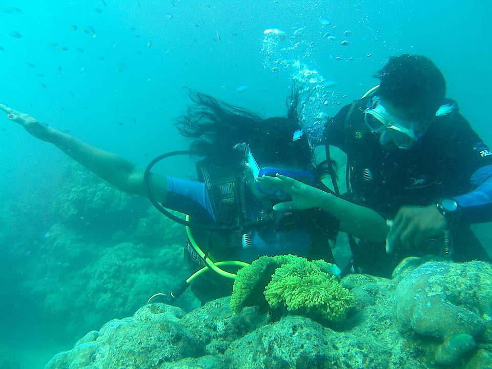 Photo of Kalapathar Beach, Andaman and Nicobar Islands, India by vaishali wasade