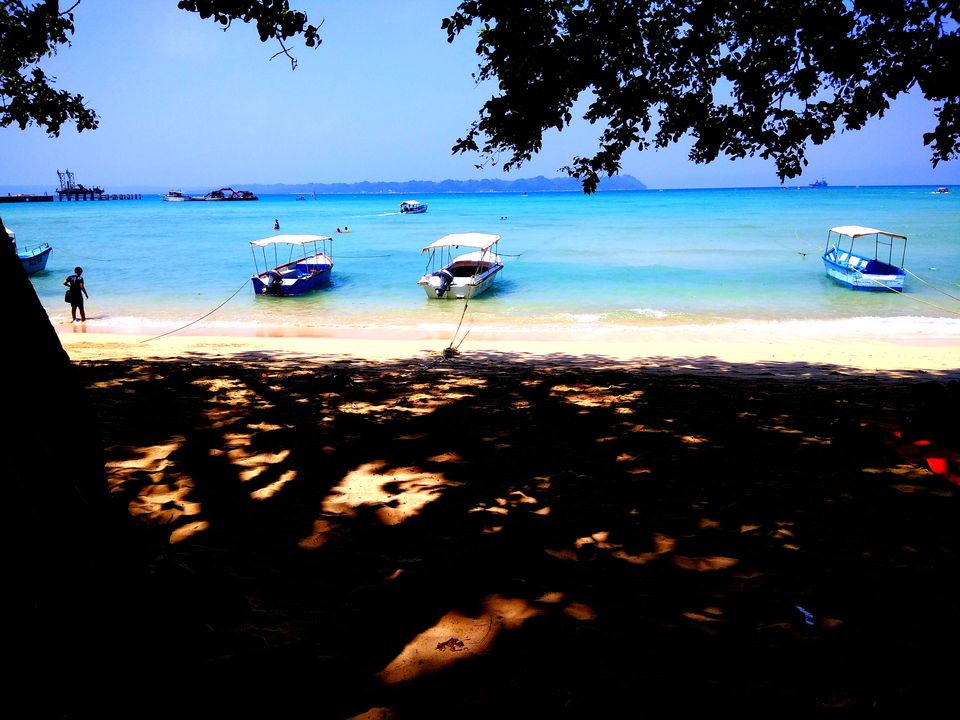 Photo of Neil Island, Andaman and Nicobar Islands by vaishali wasade