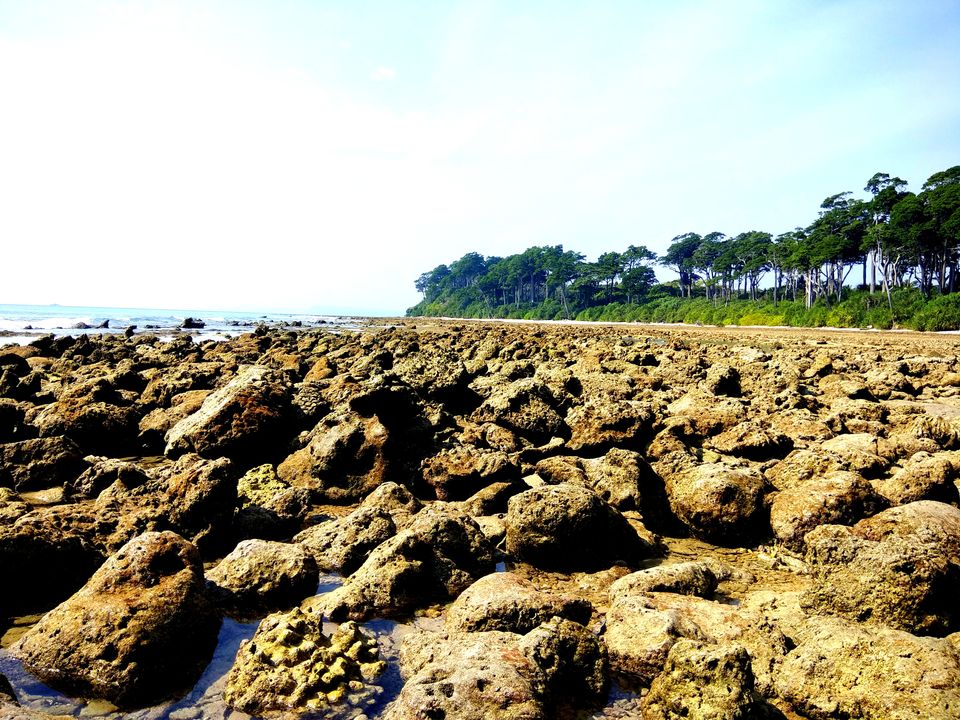 Photo of Andaman Trip in 40K INR by vaishali wasade