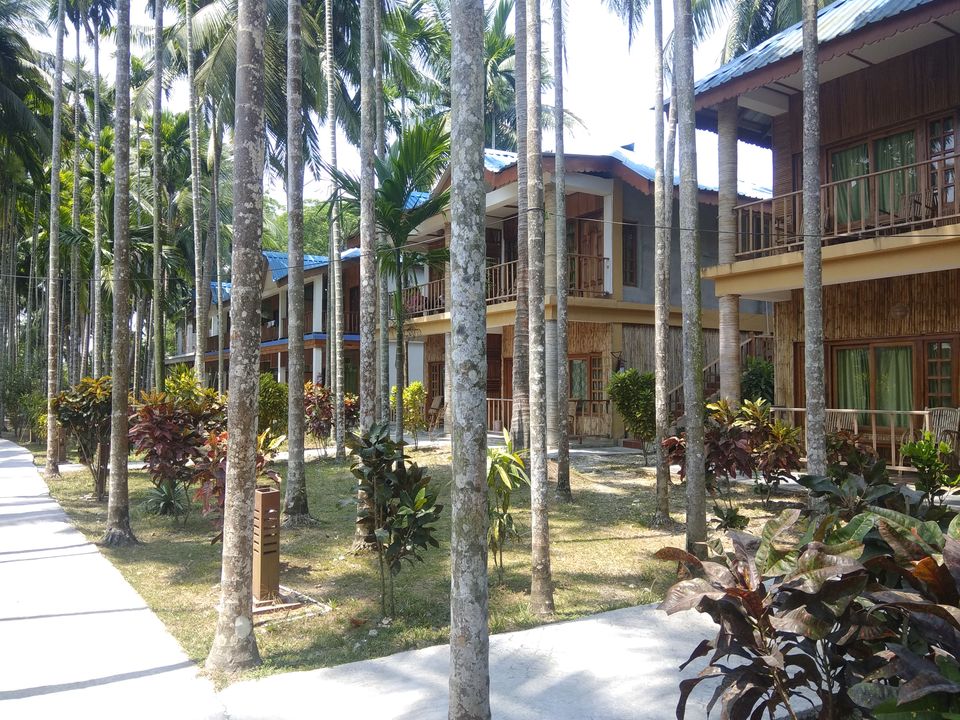 Photo of Andaman Trip in 40K INR by vaishali wasade