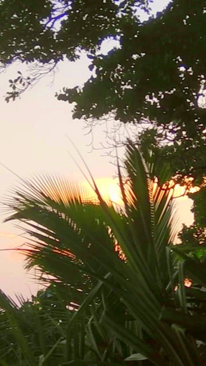 Photo of Radhanagar Beach, Andaman and Nicobar Islands by vaishali wasade