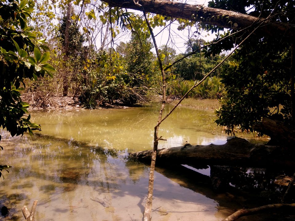 Photo of Elephant Beach, Port Blair, Andaman and Nicobar Islands, India by vaishali wasade