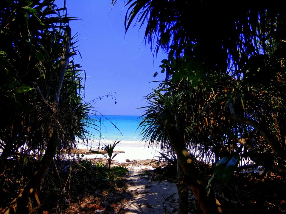 Photo of Andaman Trip in 40K INR by vaishali wasade