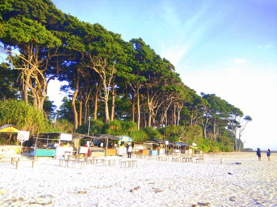 Photo of Andaman Trip in 40K INR by vaishali wasade