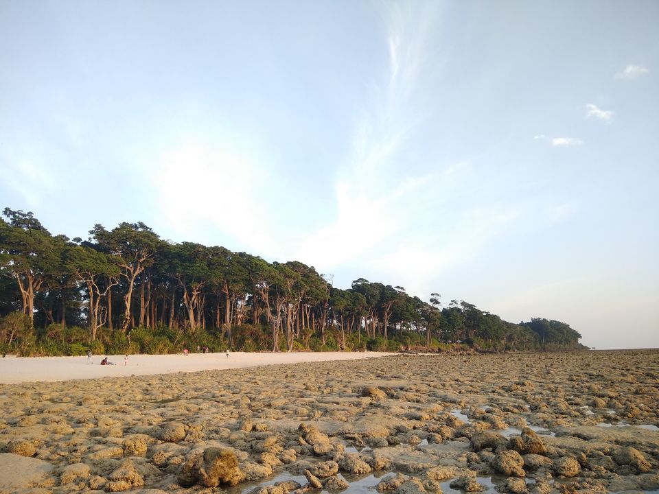 Photo of Andaman Trip in 40K INR by vaishali wasade