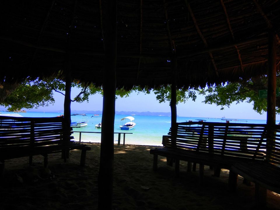 Photo of Andaman Trip in 40K INR by vaishali wasade