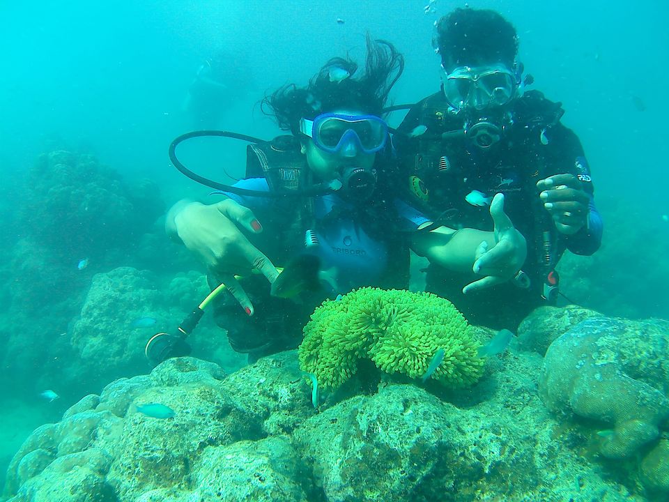 Photo of Andaman Trip in 40K INR by vaishali wasade