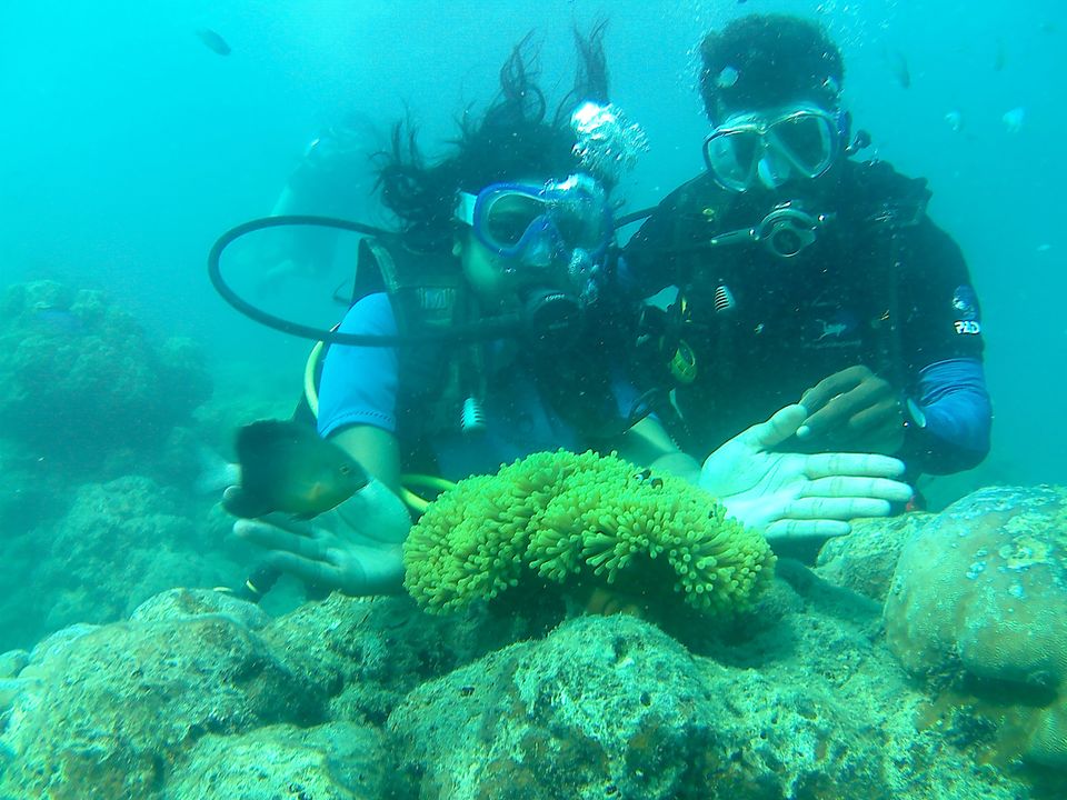 Photo of Andaman Trip in 40K INR by vaishali wasade