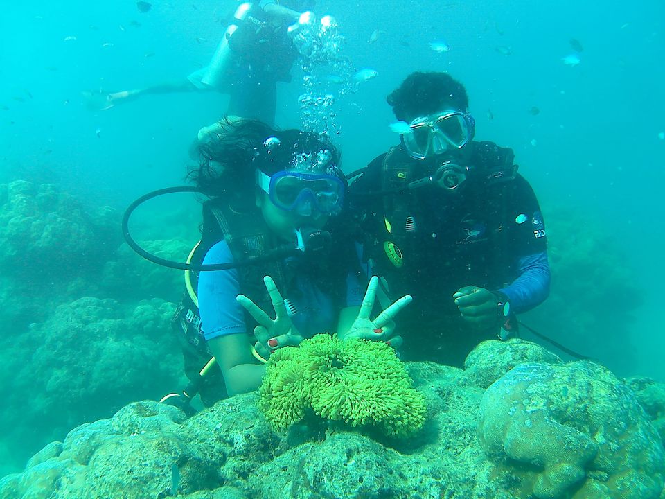 Photo of Andaman Trip in 40K INR by vaishali wasade
