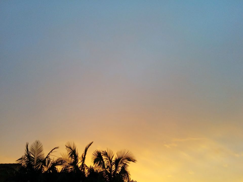 Photo of Discovering the many hues of Los Angeles 3/10 by advaita raut