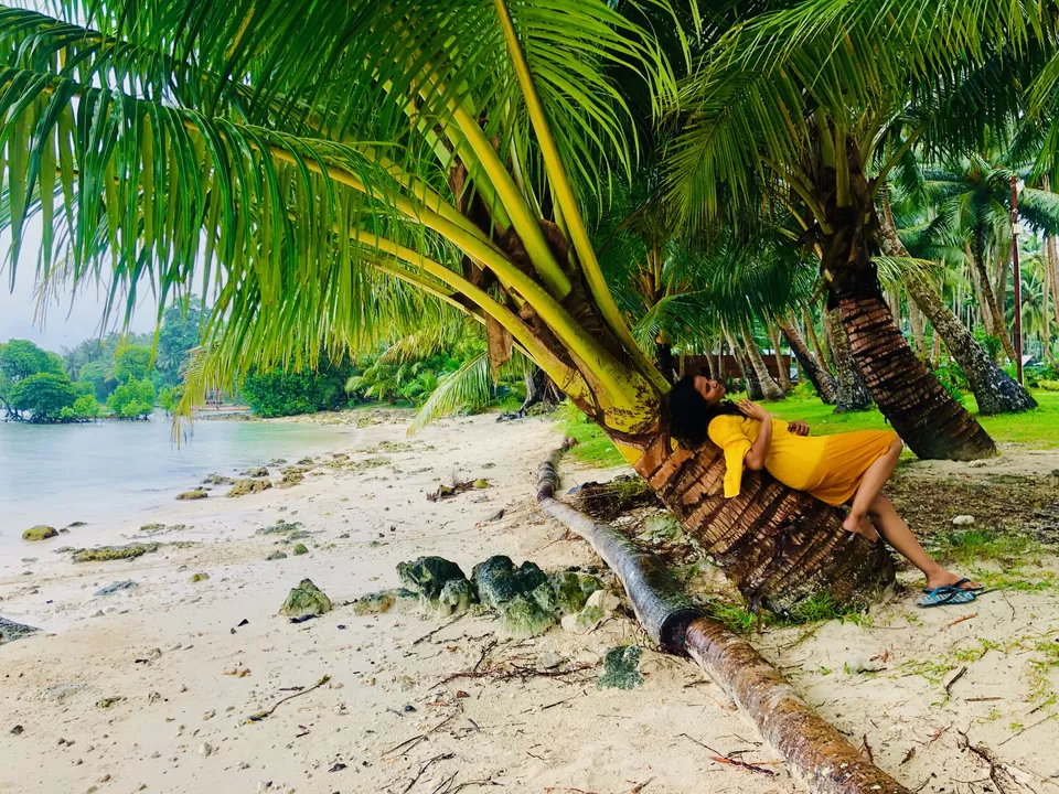 Photo of SeaShell Havelock, Govind Nagar, Havelock, Andaman and Nicobar Islands, India by Takeabreak _Traveltheworld