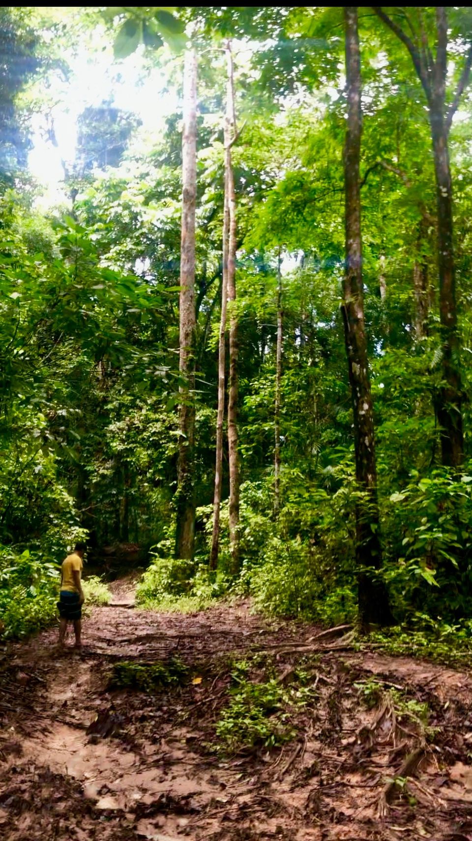 Photo of TRIP TO ANDAMANS by Takeabreak _Traveltheworld