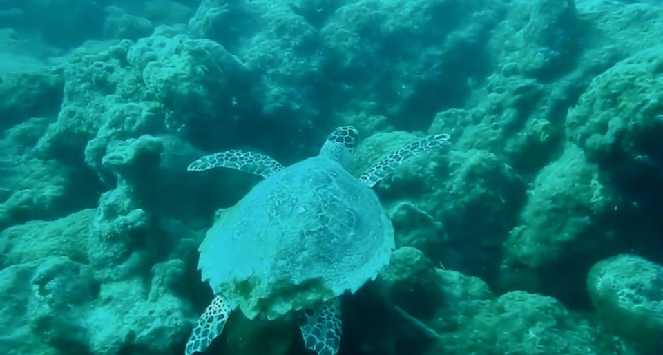 Photo of TRIP TO ANDAMANS by Takeabreak _Traveltheworld