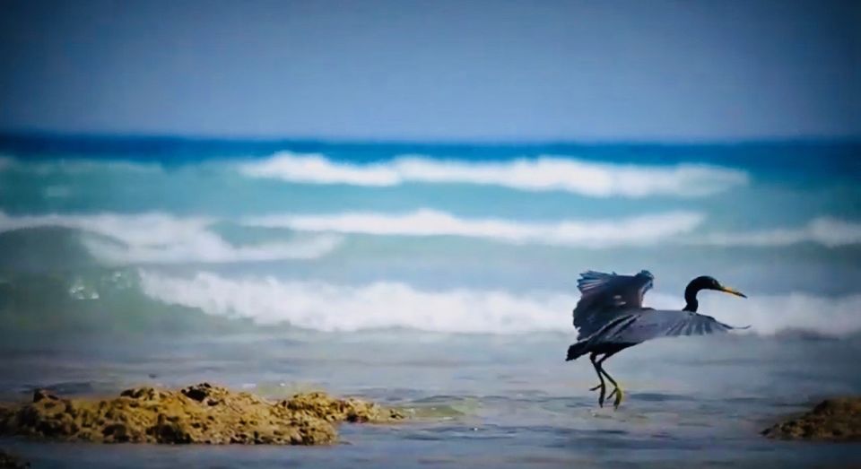 Photo of TRIP TO ANDAMANS by Takeabreak _Traveltheworld