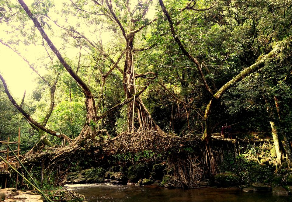 Photo of Riwai, Meghalaya, India by Sassily Solo