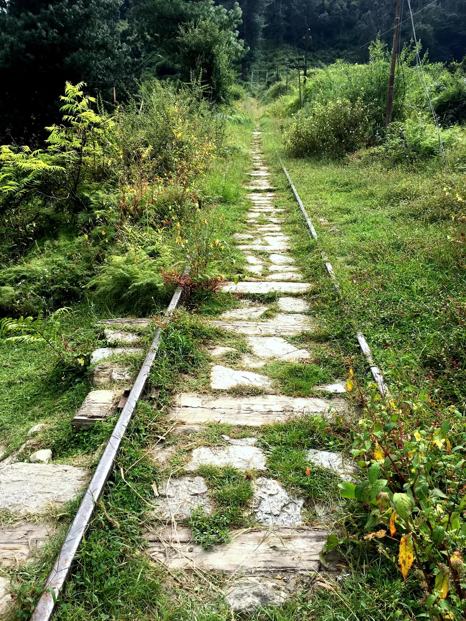 Photo of Multhan, Himachal Pradesh, India by Sassily Solo