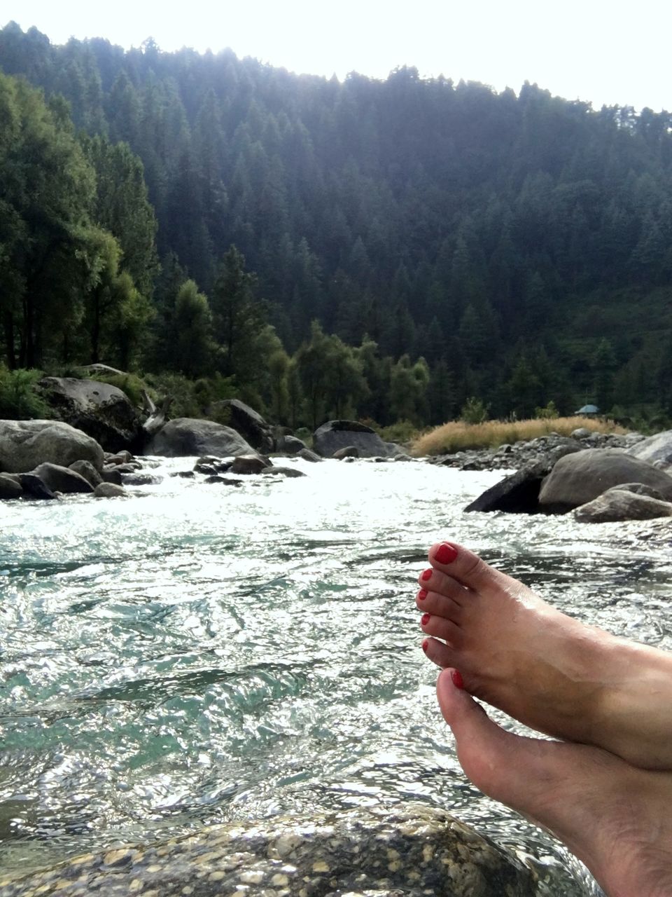 Photo of The lesser known Barot Valley by Sassily Solo
