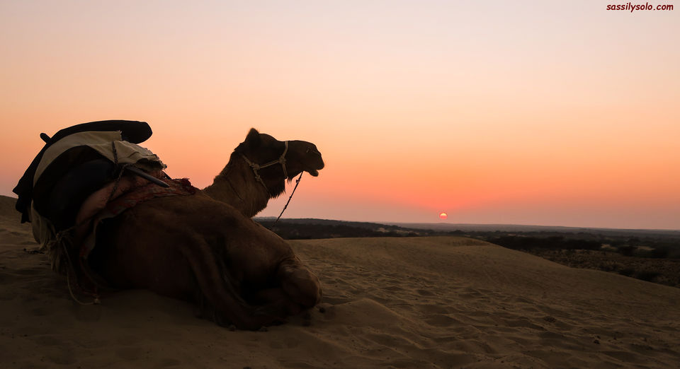 Photo of Finding yourself at places less travelled | Rajasthan by Sassily Solo