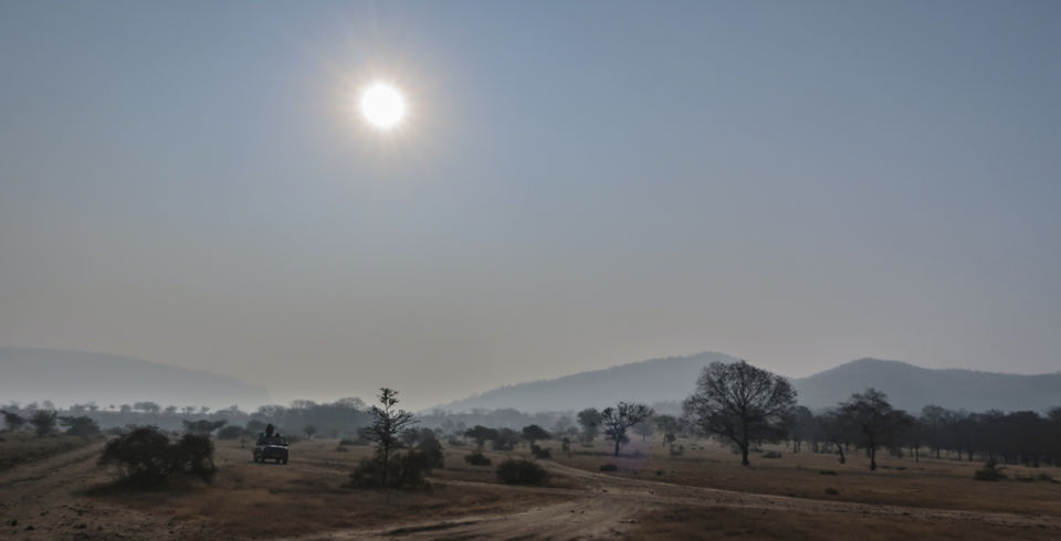 Photo of Planning a trip to Ranthambore 2/5 by Sassily Solo