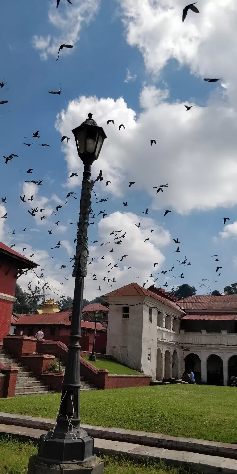 Photo of Nepal by Rishabh Arora